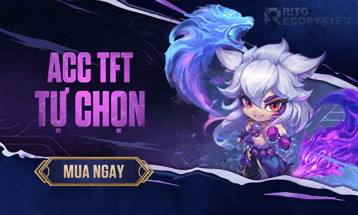 acc-dau-truong-chan-ly-tft