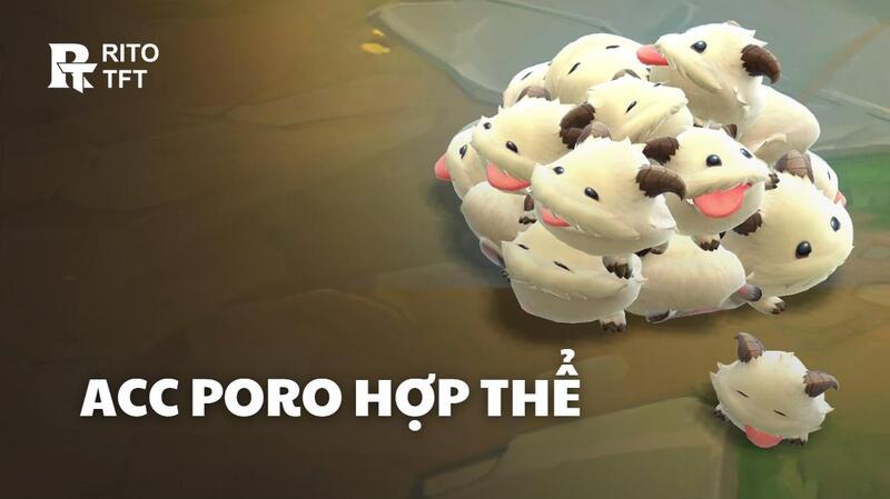 Acc PORO HỢP THỂ chất lượng