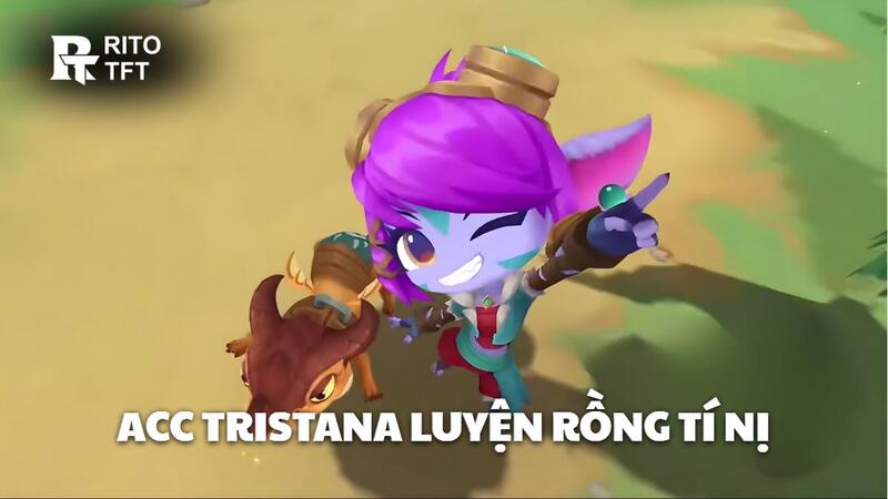 Giới thiệu chung về Acc Tristana Luyện Rồng Tí Nị