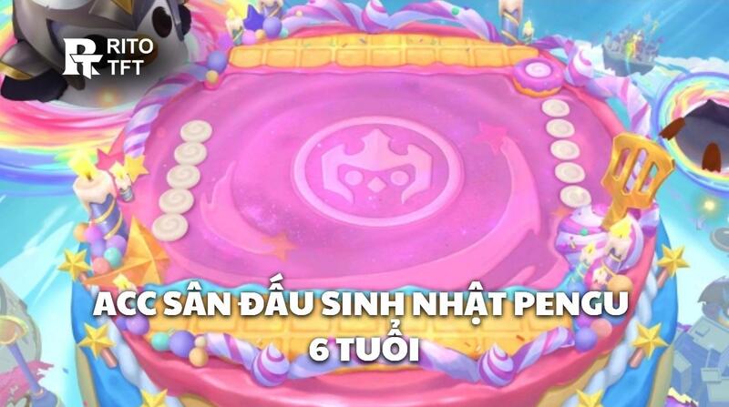 Acc Sân Đấu Sinh Nhật Pengu 6 Tuổi