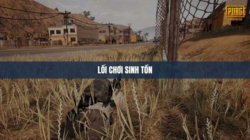 Lối chơi Sinh tồn (Passive)