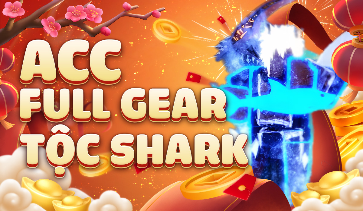 acc-full-gear-toc-shark