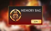 Memory Bag