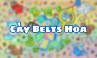 Cày Belts Hoa