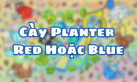Cày Planter Red Hoặc Blue