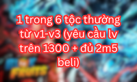 1 trong 6 tộc thường từ v1-v3 (yêu cầu lv trên 1300 + đủ 2m5 beli)