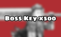 Boss Key x500
