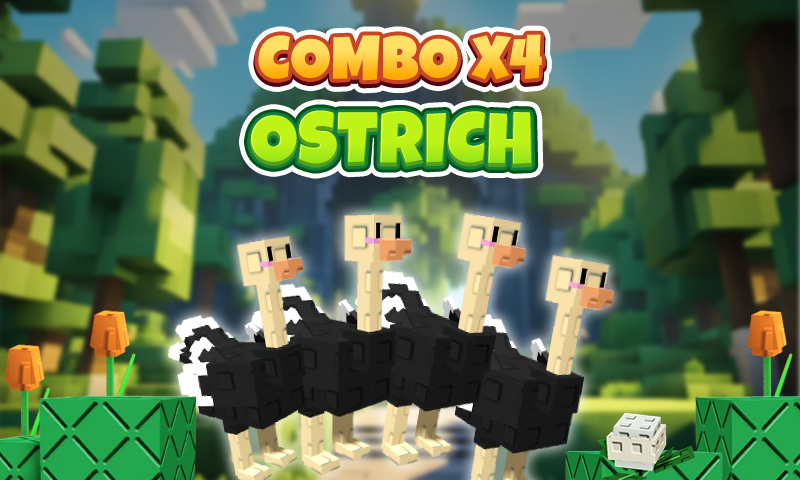 x4 Ostrich