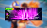 Atomic Bundle