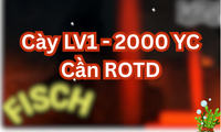 Cày LV1 - 2000 YC Cần ROTD