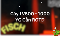 Cày LV500 - 1000 YC Cần ROTD