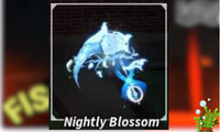 Nightly Blossom