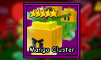 Mango Cluster