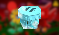 Winterray Flower
