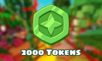 2000 Tokens