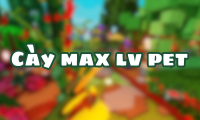 Cày max lv pet