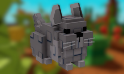 Chinchilla