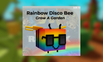 Disco Bee Rainbow