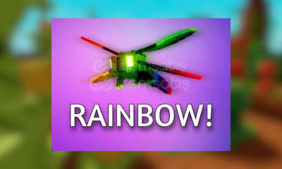 Dragonfly Rainbow
