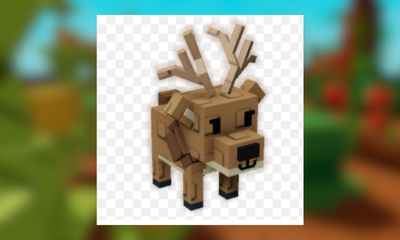 Elk
