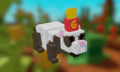 Friend Fry Ferret