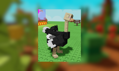 Ostrich Huge 5-6kg Level 1