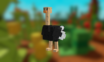 Ostrich
