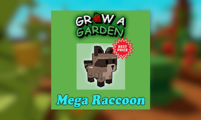Raccoon Mega
