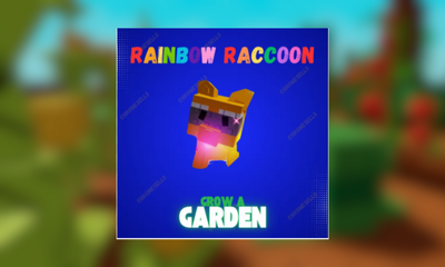 Raccoon Rainbow