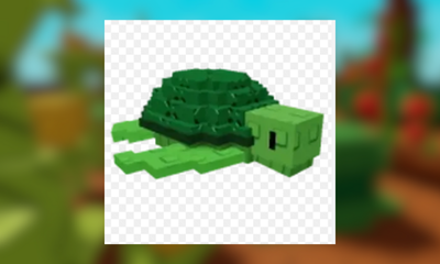 Sea Turtle 5-6kg Level 1