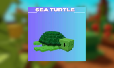 Sea Turtle 7-8kg Level 1