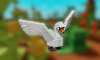 Swan