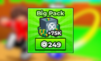 Big Pack
