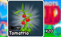 Combo 20 Plant Tomatrio