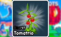 Combo 5 Plant Tomatrio