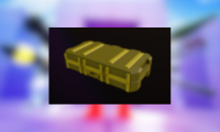 Skin Case 2