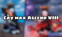 Cày max Ascend VIII