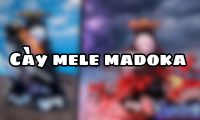 Cày mele madoka