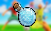 x1 Snowstorm Potion
