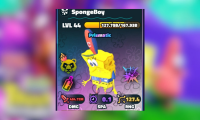 SpongeBoy