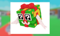 Festive Lucky Block