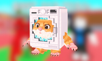 Spinny Hammy