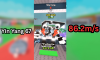 Yin Yang 67 86.2m/s