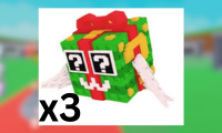 x3 Festive Lucky Block