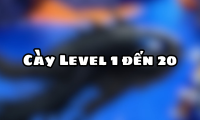 Cày Level 1 đến 20