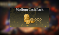 Medium Cash Pack
