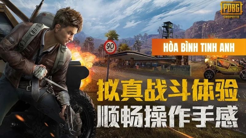 Game for Peace (pubg mobile china)