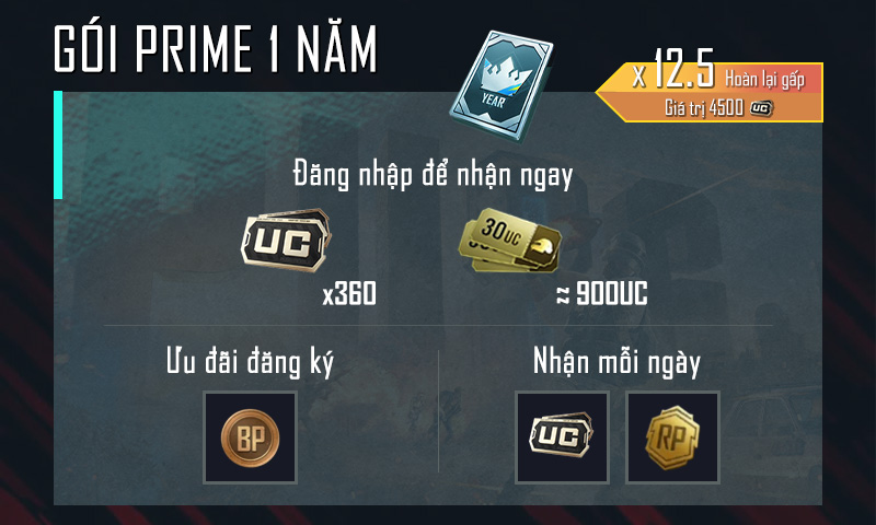 Gói Prime Plus 1 Năm