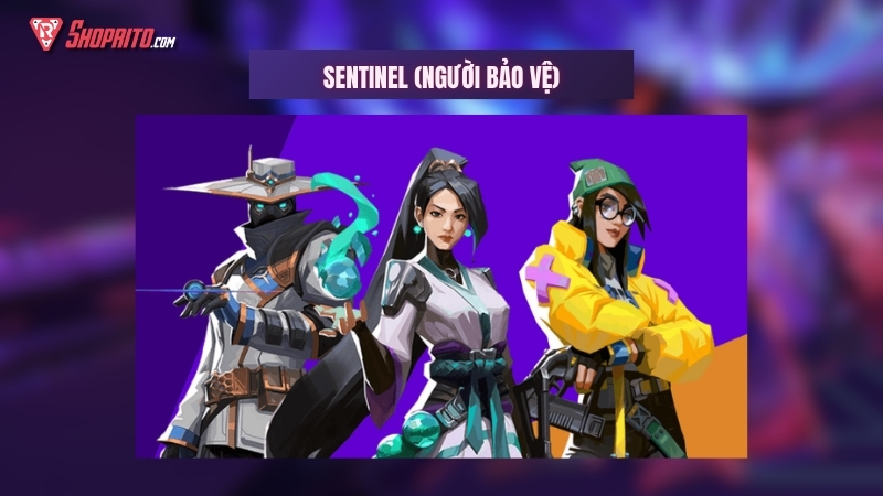 Vai Trò Sentinel (Hộ Vệ)
