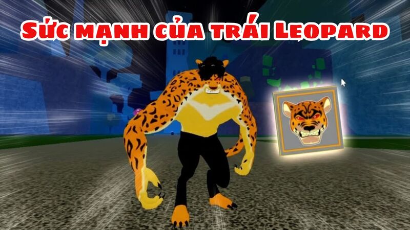 leopard-1